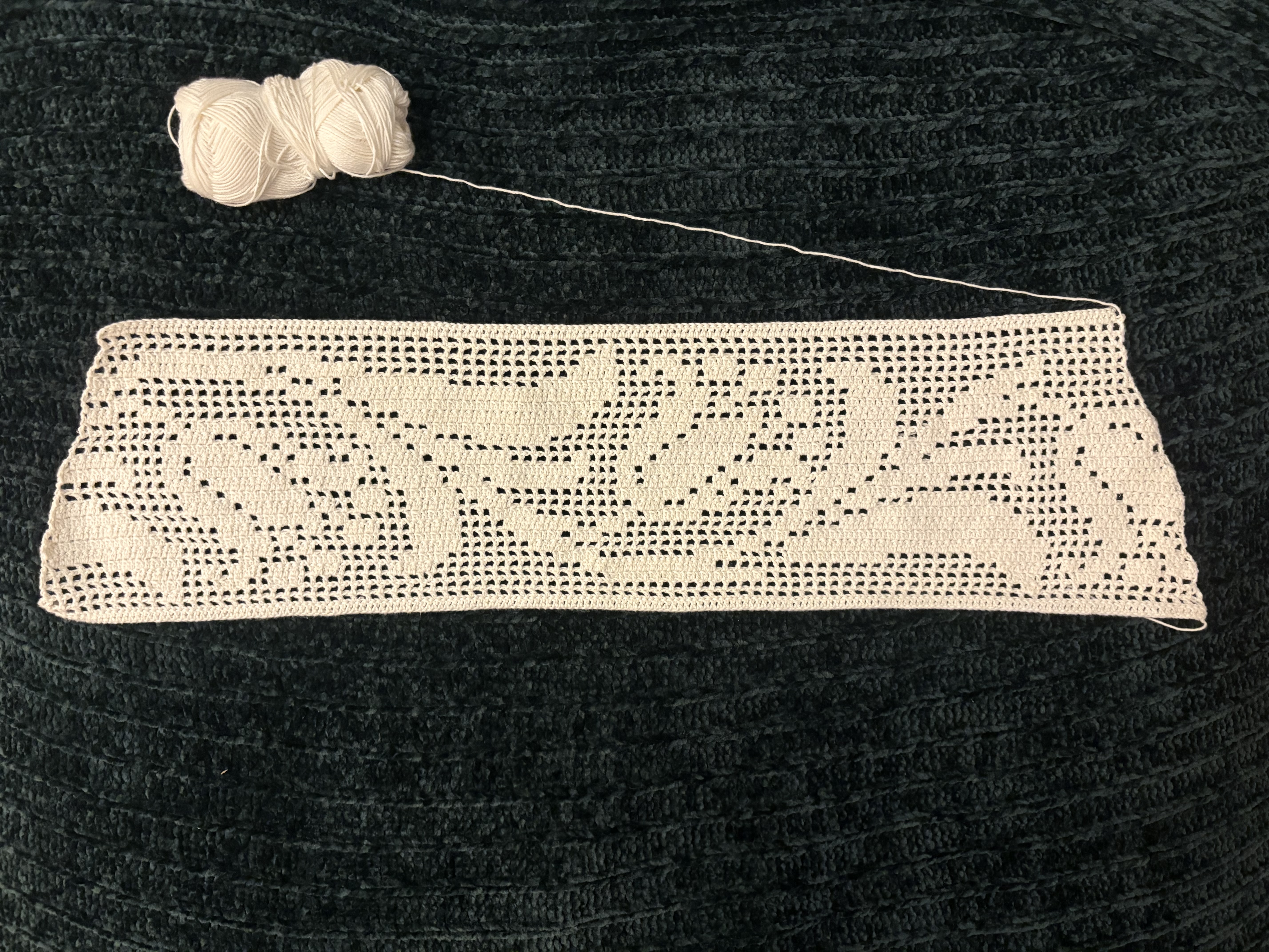 Filet crochet piece